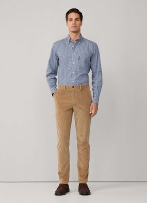 570 POP BLUE 570