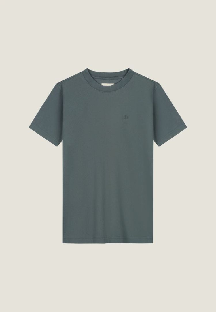 569 GREY GREEN 569